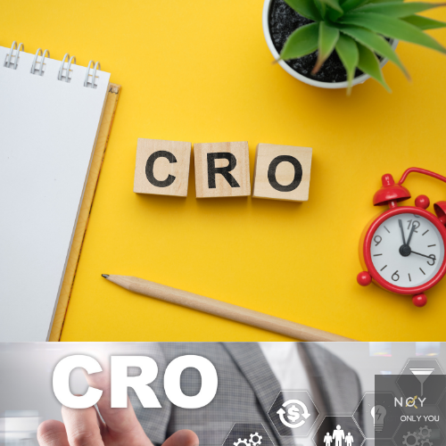 2 Strategies to increase CRO In digital world !